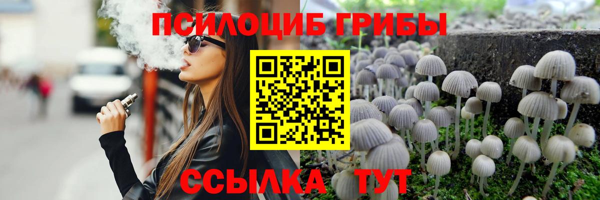 Псилоцибиновые грибы прущие грибы  Вход с VPN  Псилоцибиновые грибы MAGIC MUSHROOMS  Щёлково 